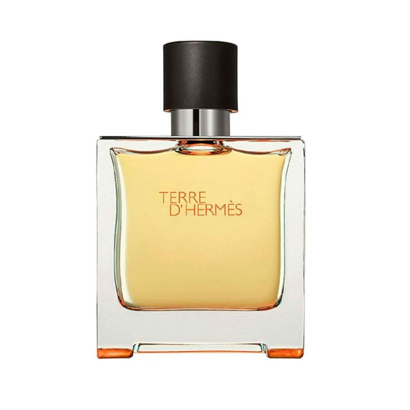 Terre d'Hermès - Eau de Parfum - Hermès