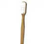 Brosse à Dent Rechargeable en Hêtre - Caliquo