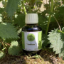 Sirop le Centenaire - Compostelle des Plantes