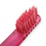 Brosse à Dents "Miami" - Yumaki